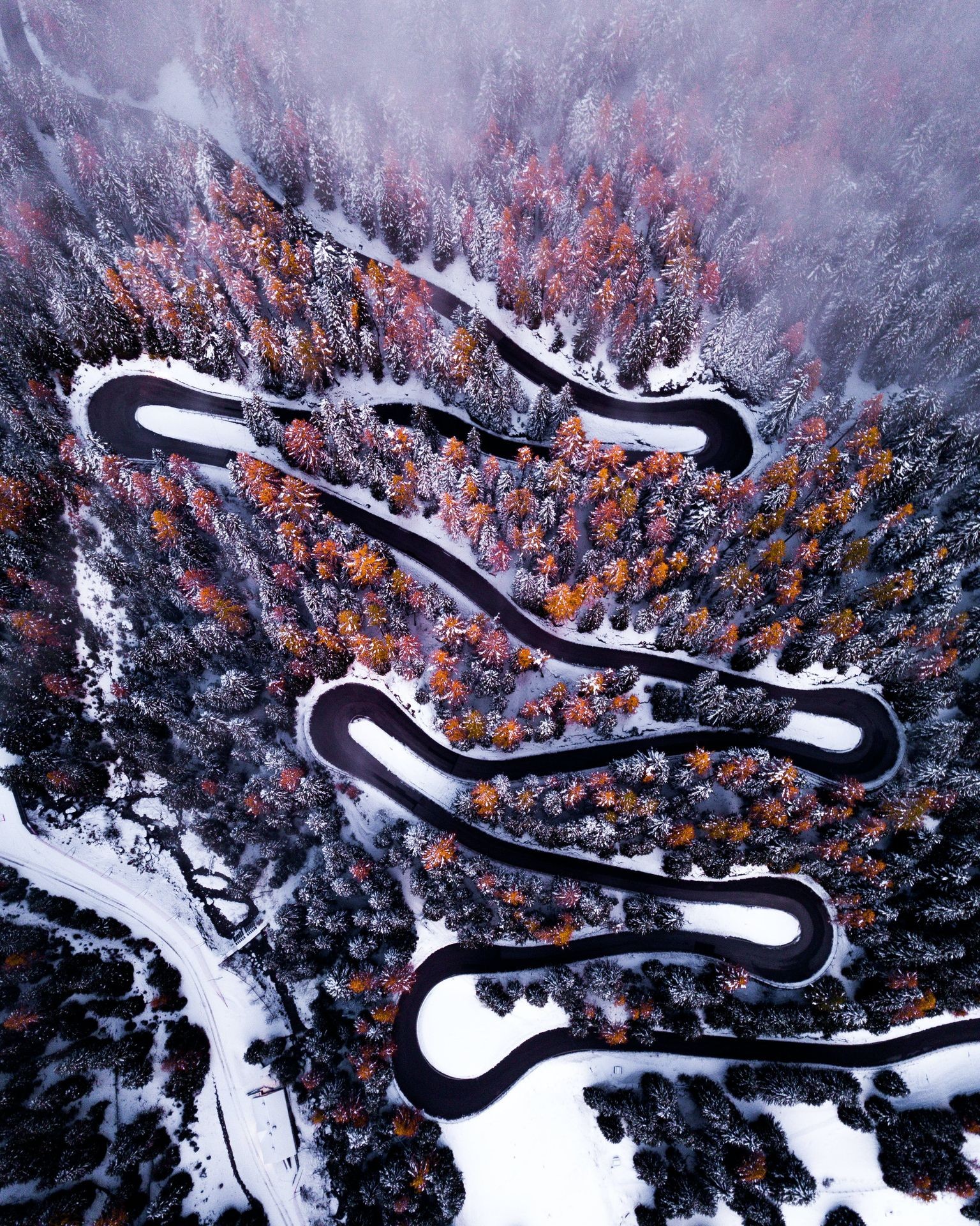 Aerial view of a winding road through a snowy forest with autumn-colored trees.